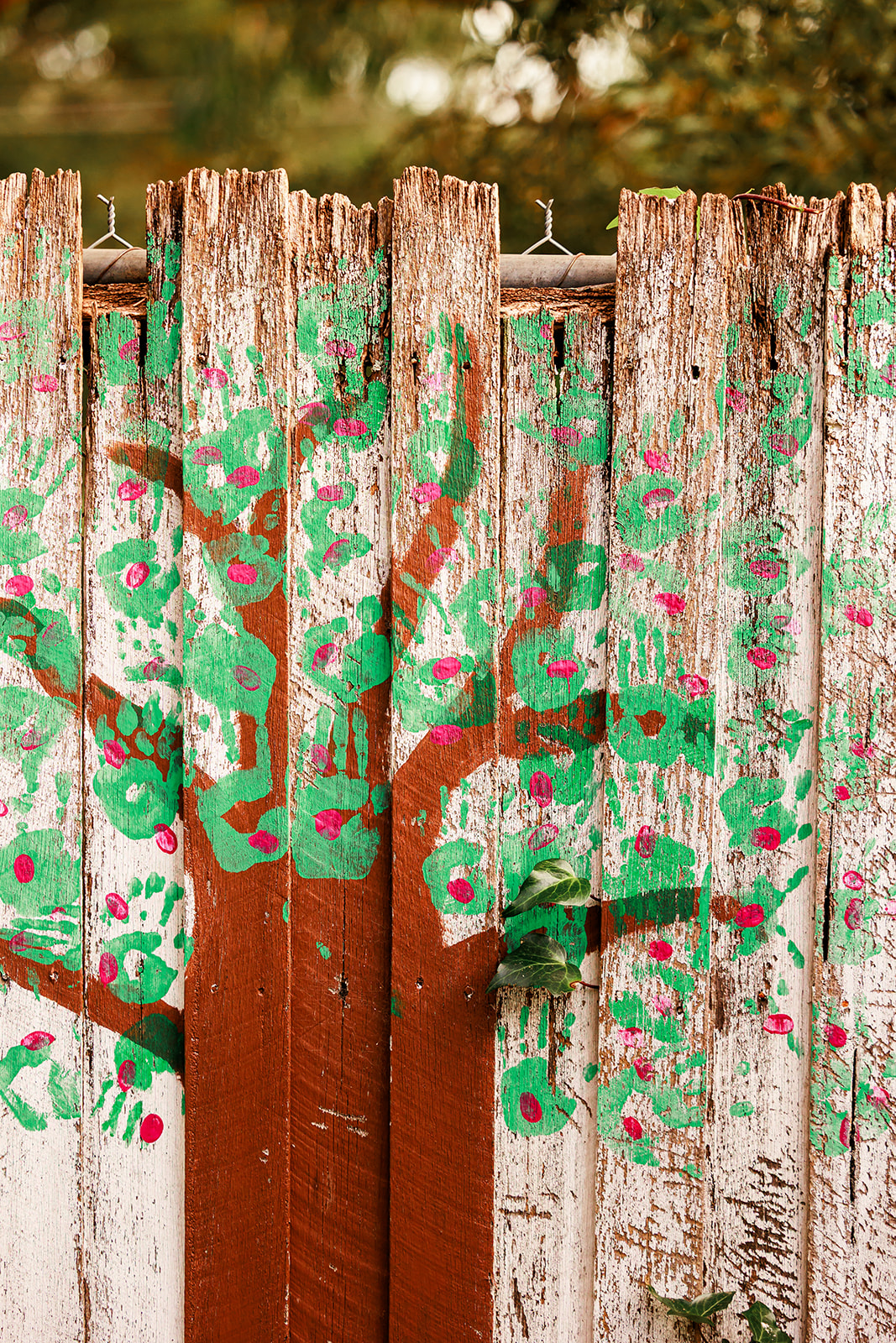 A guided look inside Tecoma, coming soon