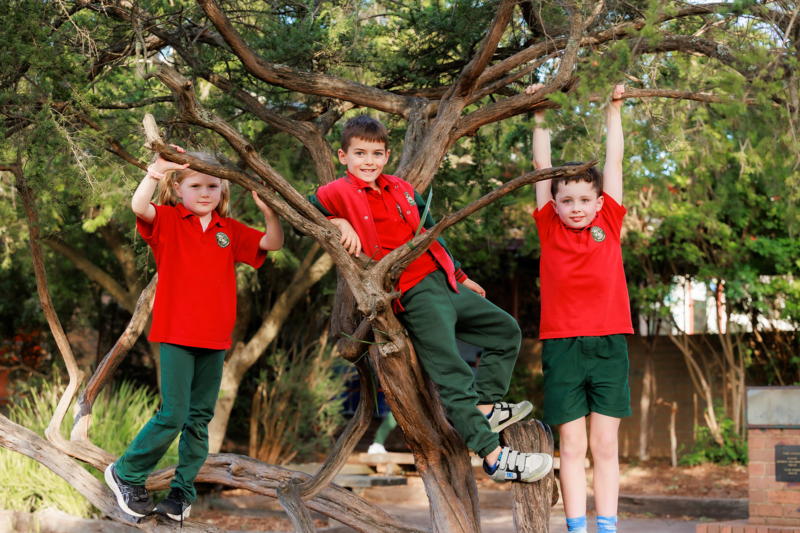 Climbing high in our grounds